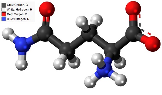 L-Glutamine