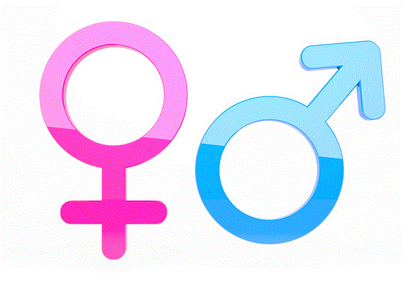 Gender Symbols